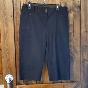 Ann Taylor LOFT Marisa capri